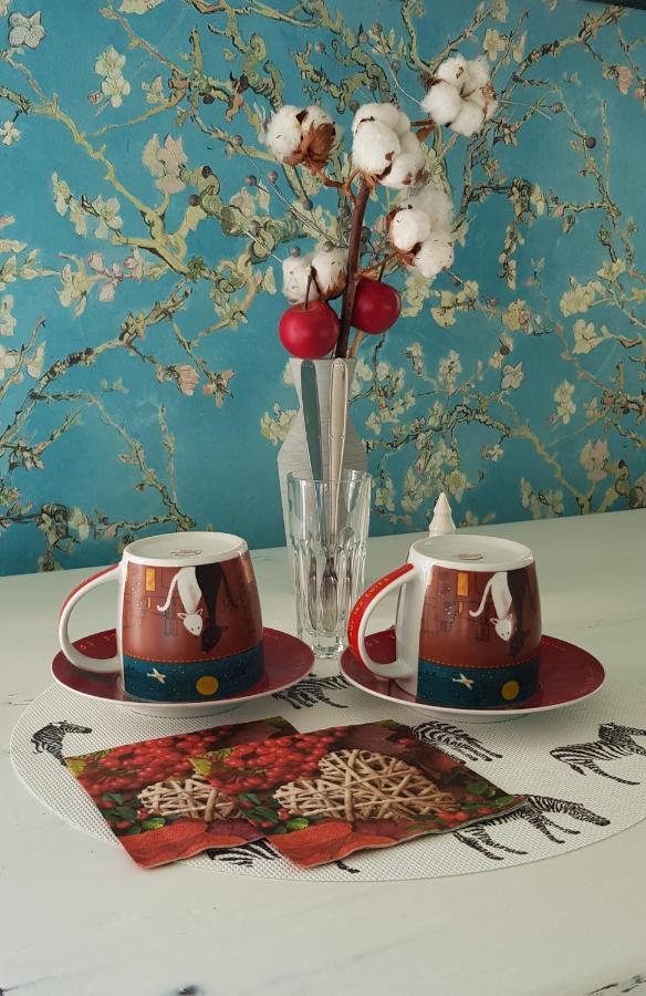 Narzole Cortile Gancia - Sweet House Bed & Breakfast エクステリア 写真